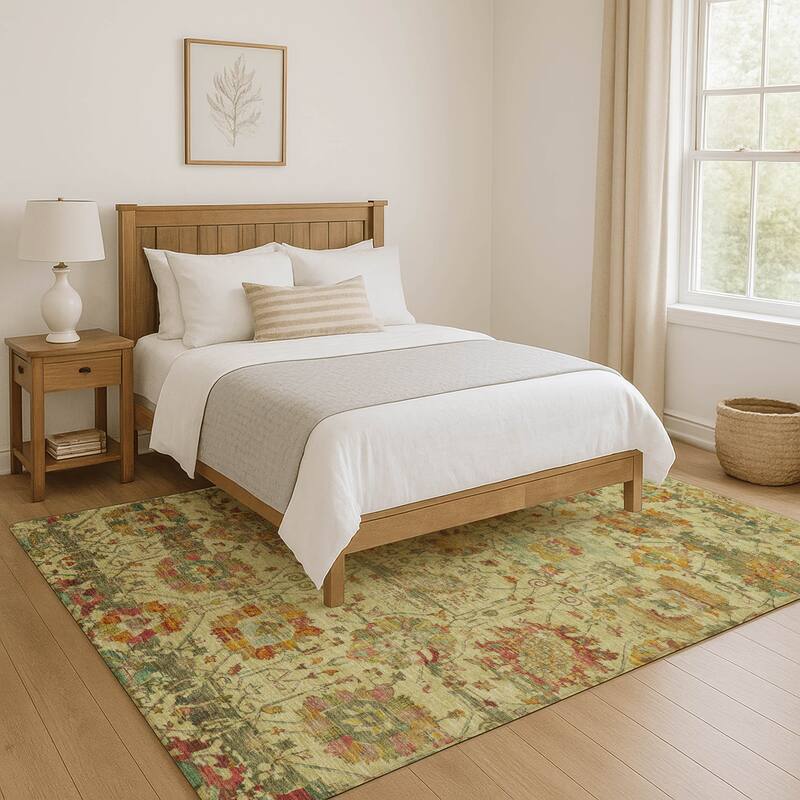 Premium Washable Super Soft Traditional Mayfield Rug