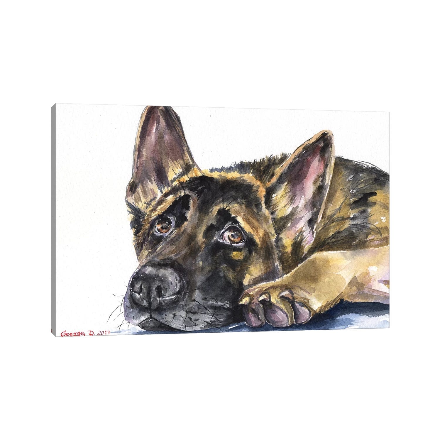 iCanvas "German Shepherd" by George Dyachenko Canvas Print