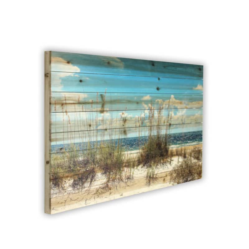 "Beach Sand Dunes" Photograph Print on Planked Wood Wall Art