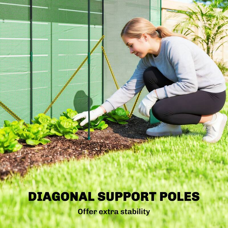 Outsunny Mini Greenhouse, Portable Greenhouse with Roll-Up Door and 2 Mesh Windows, Small Green House