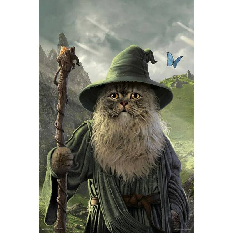 Catdalf by Vincent Hie Art Poster - 24 x 36 Inch