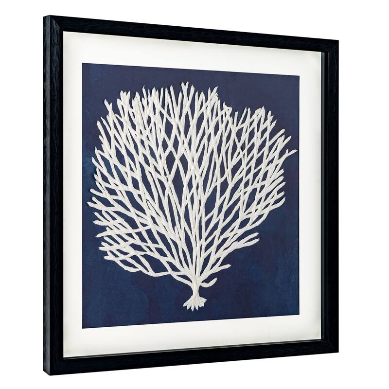 Sea Fan, Shadow Box - Sea Fan 1
