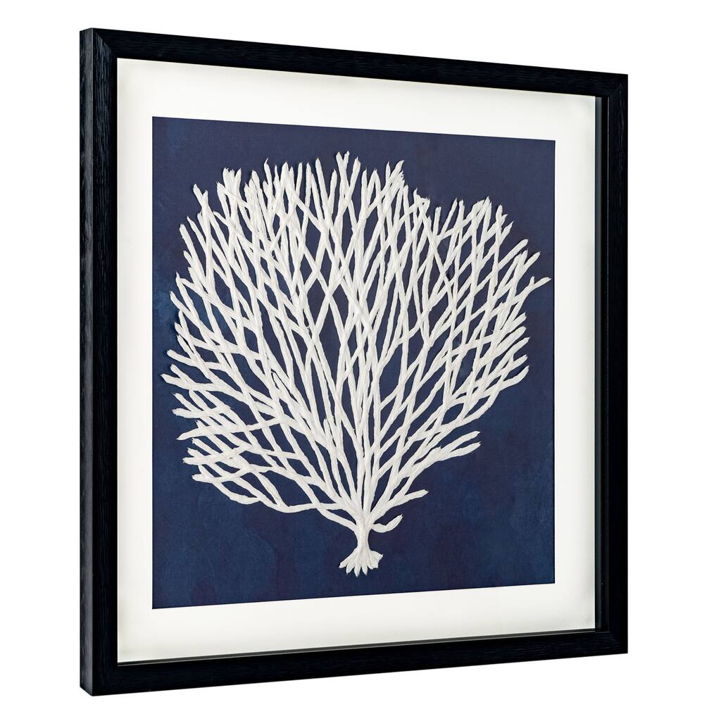 Sea Fan, Shadow Box