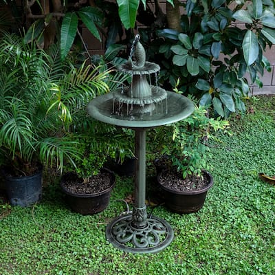 Fountain with Fish