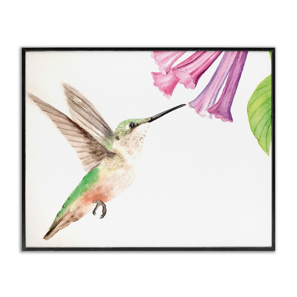 Stupell Hummingbird & Bluebell Flower Framed Giclee Art Design By Stephanie Fielden