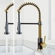 preview thumbnail 33 of 156, VIGO Edison 19" H Single Handle Pull-Down Sprayer Kitchen Faucet