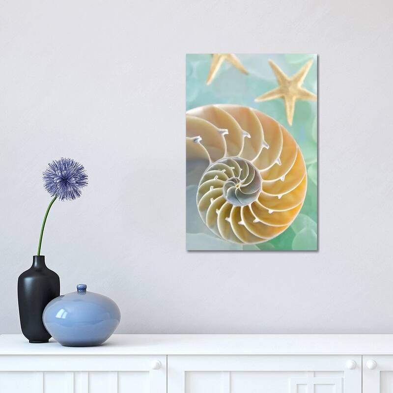 iCanvas "Seaglass 2" by Alan Blaustein Canvas Print - 18x12x1.5