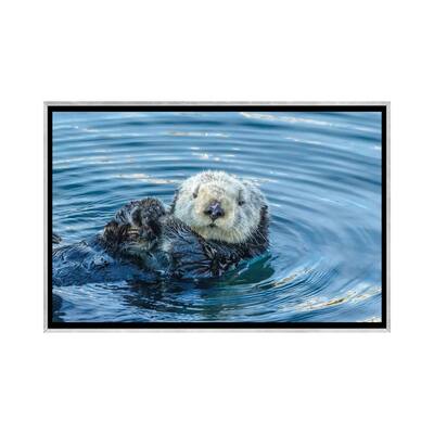 iCanvas "Usa, California, San Luis Obispo County. Sea Otter Grooming." by Jaynes Gallery Framed