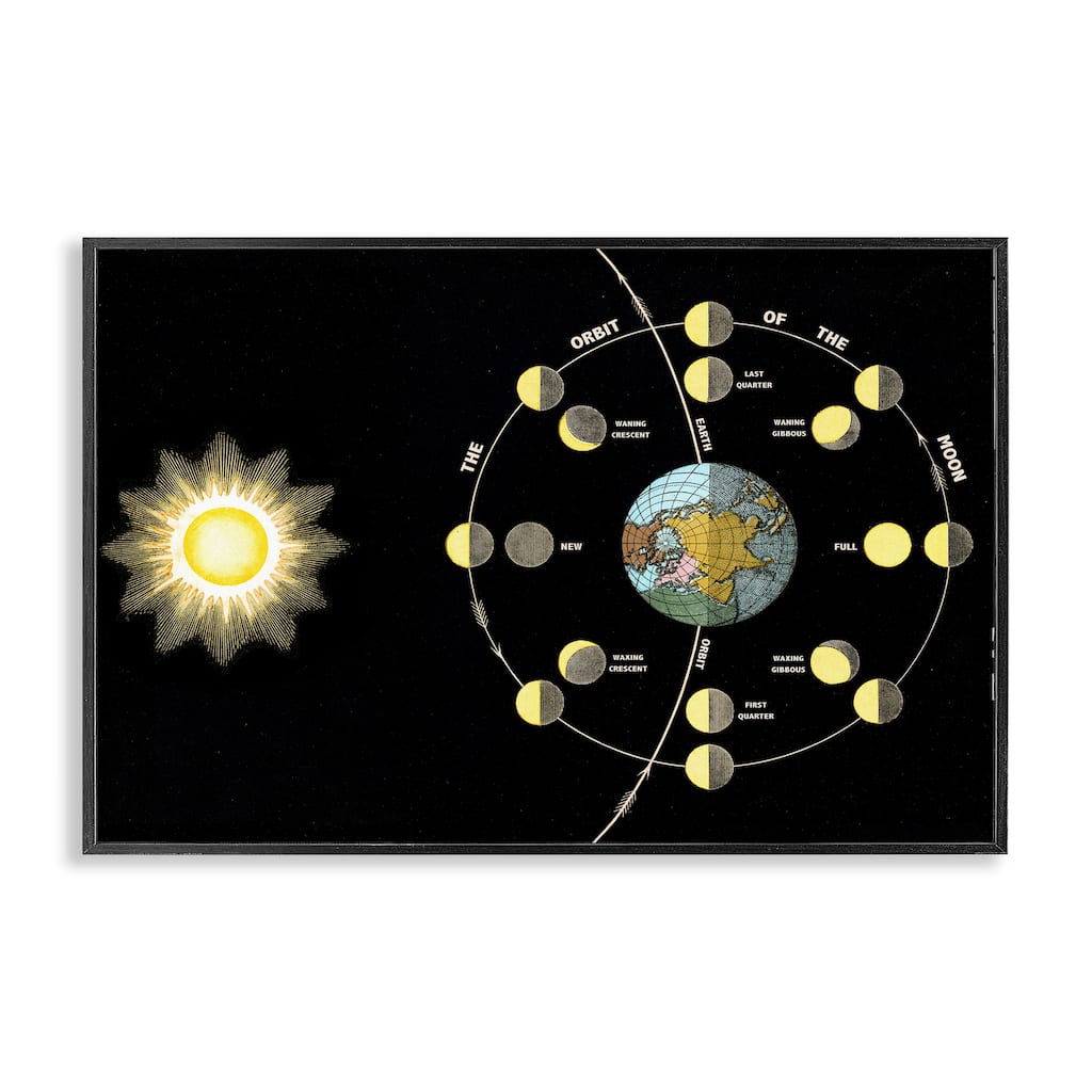 Stupell Moon's Orbit & Phases Framed Giclee Art Design By Phillipa Katz