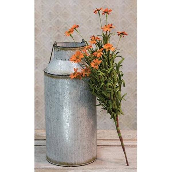 Mini Mountain Daisy Bush, Orange, 18