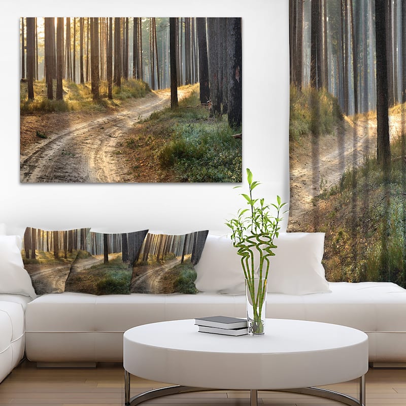 Designart "Road in Thick Morning Forest" Landscape Photo Canvas Art Print - 40 in. wide x 30 in. high