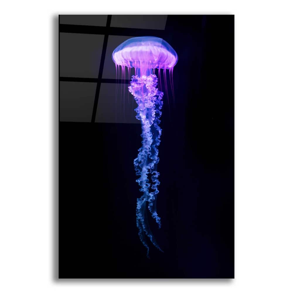 Epic Art 'Medusa,' Acrylic Glass Wall Art