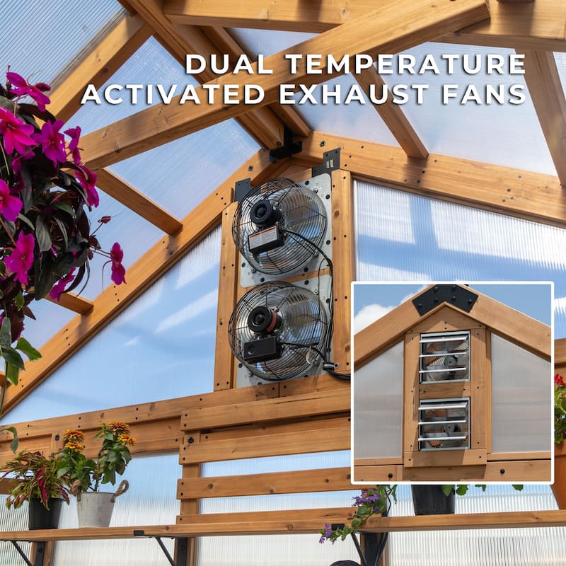 Backyard Discovery Savannah Chalet-Style 14.5' x 12' Cedar Greenhouse