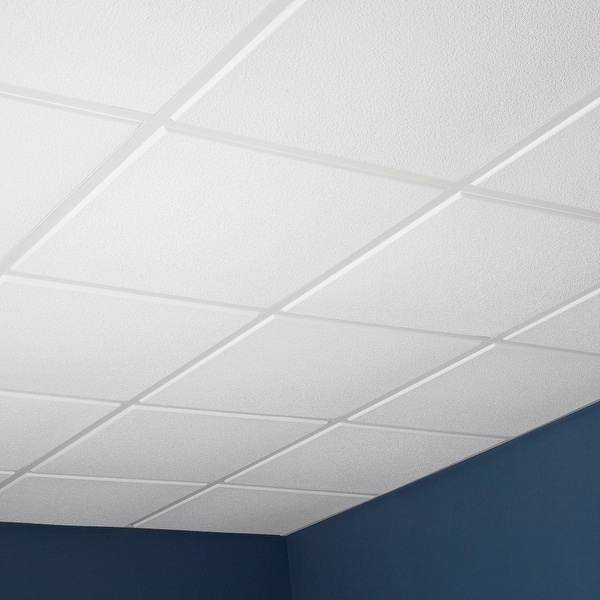 Genesis Stucco Pro Revealed Edge White 2 X 2 Ft Lay In Ceiling Tiles Overstock 10669010