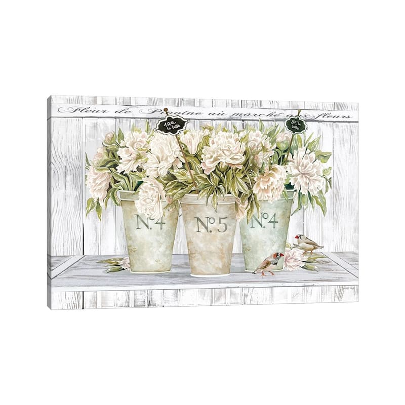 iCanvas "French Peonies Still Life II " by Cindy Jacobs Canvas Print