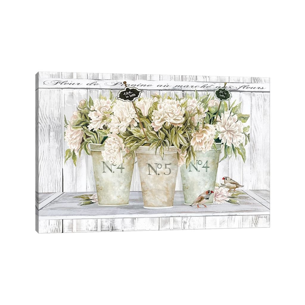 iCanvas "French Peonies Still Life II " by Cindy Jacobs Canvas Print