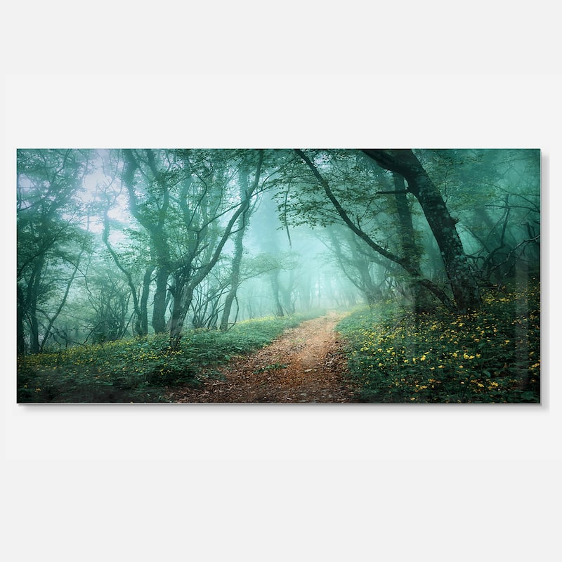 Light Green Mystical Fall Forest - Landscape Photo Glossy Metal Wall ...