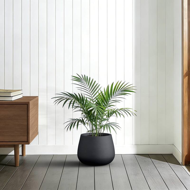 Concrete Round Planter with Drainage Holes for Indoor & Outdoor