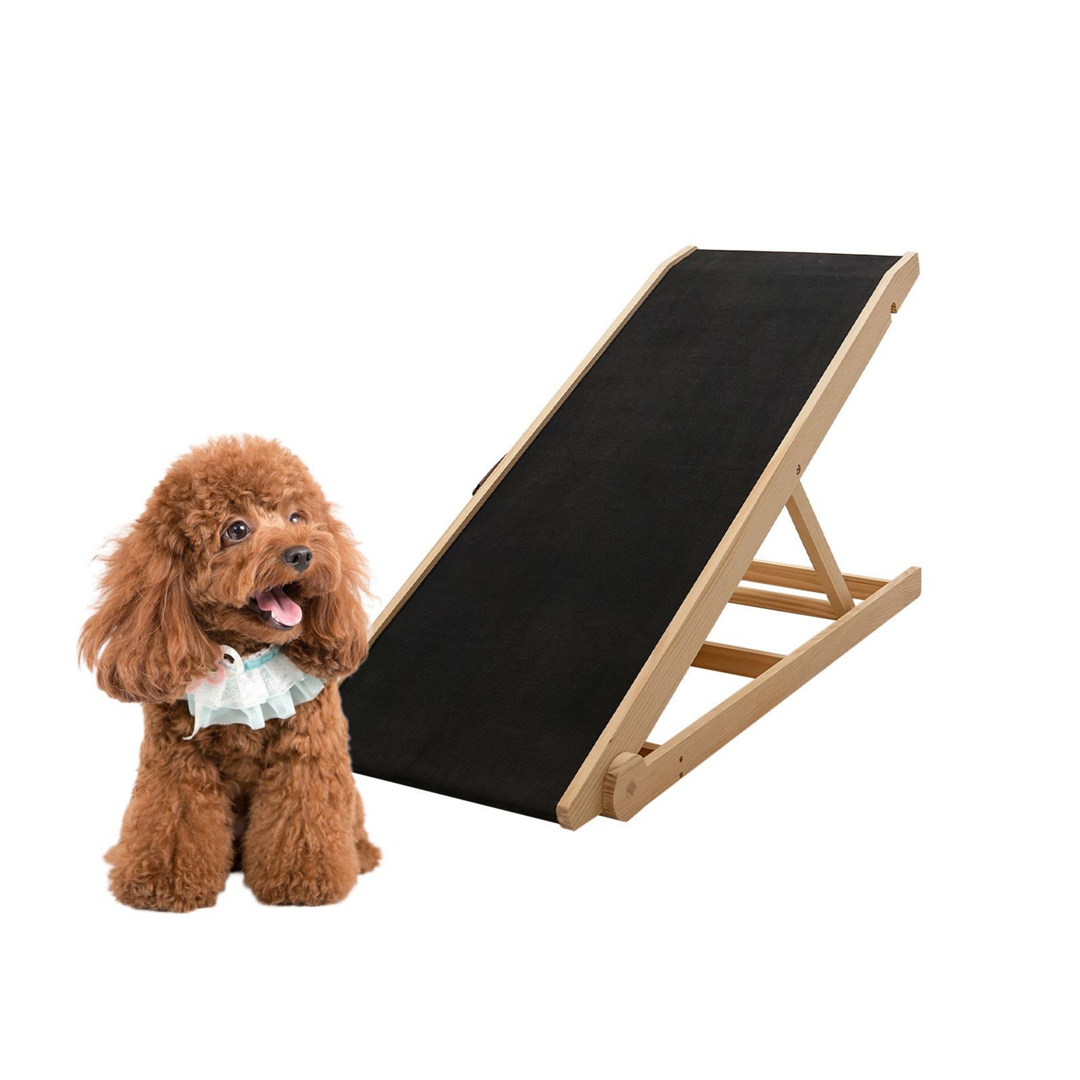 Pet Ramps and Stairs Bed Bath Beyond
