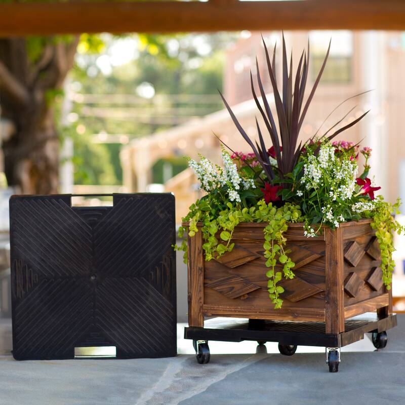 16" Black Square Plant Dolly with Handle