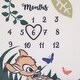 preview thumbnail 4 of 3, Disney Bambi Photo Op Milestone Baby Blanket