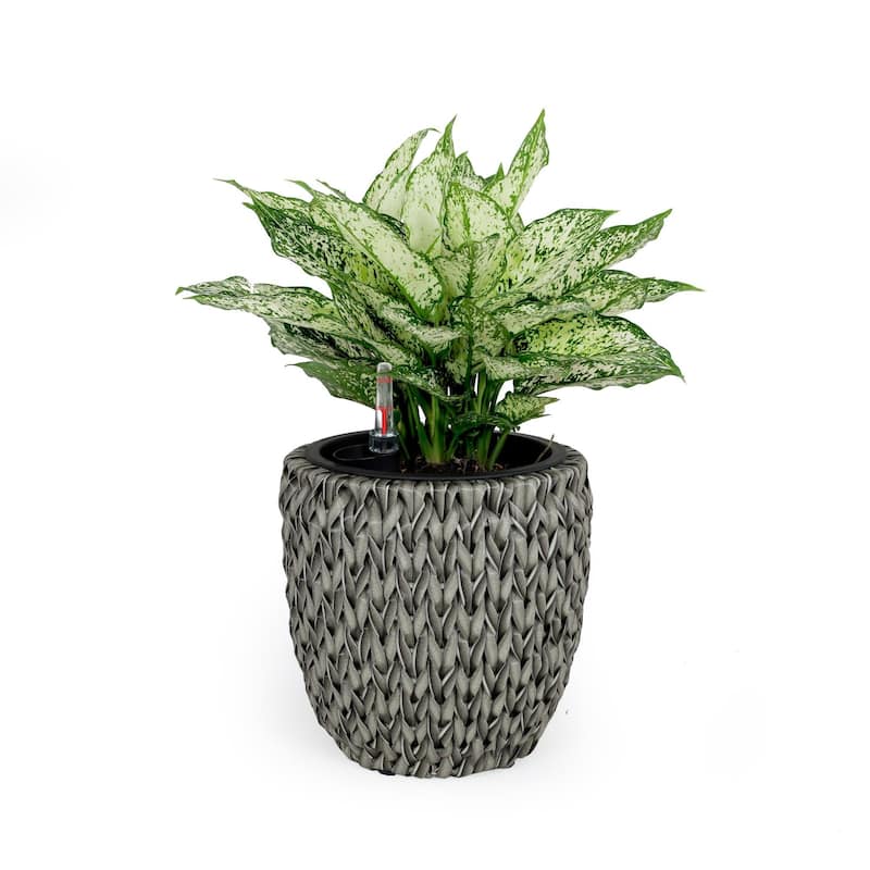 DTY Signature Self-watering Wicker Planter - Garden Decoration Pot - Grey - 10.6 inch Round