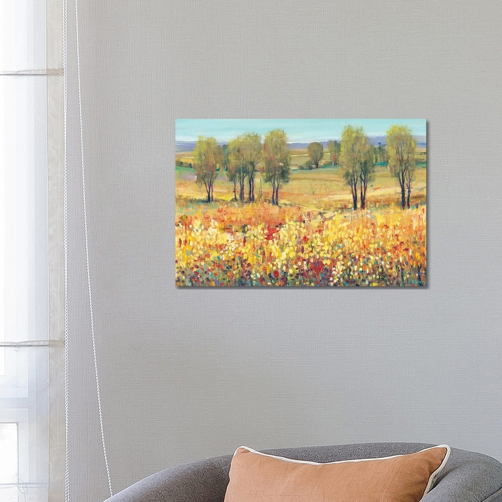 iCanvas "Golden Fields I" by Tim OToole Canvas Print