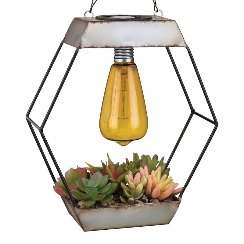 Edison Succulent Solar Lantern - Diamond