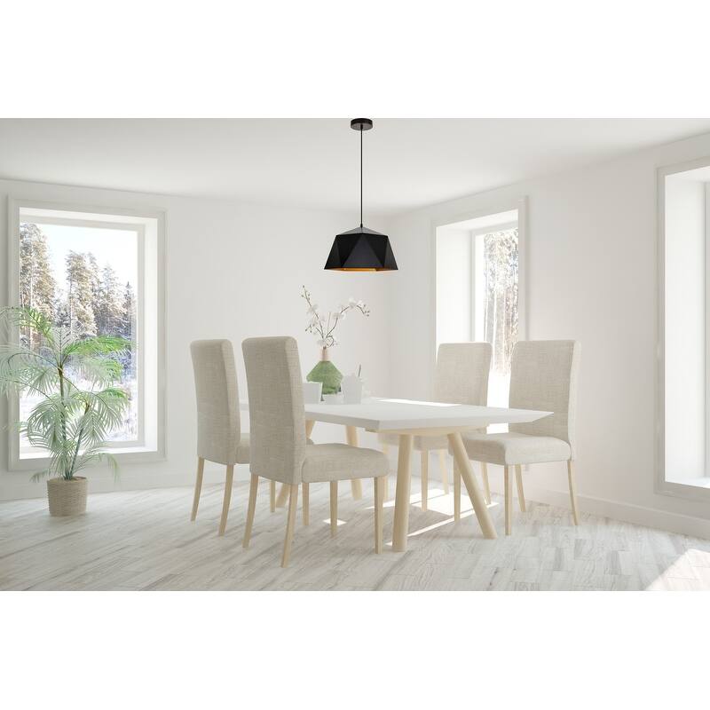Arden Collection Pendant D15.0'' H9.6 Lt:1 Black and Golden inside Finish