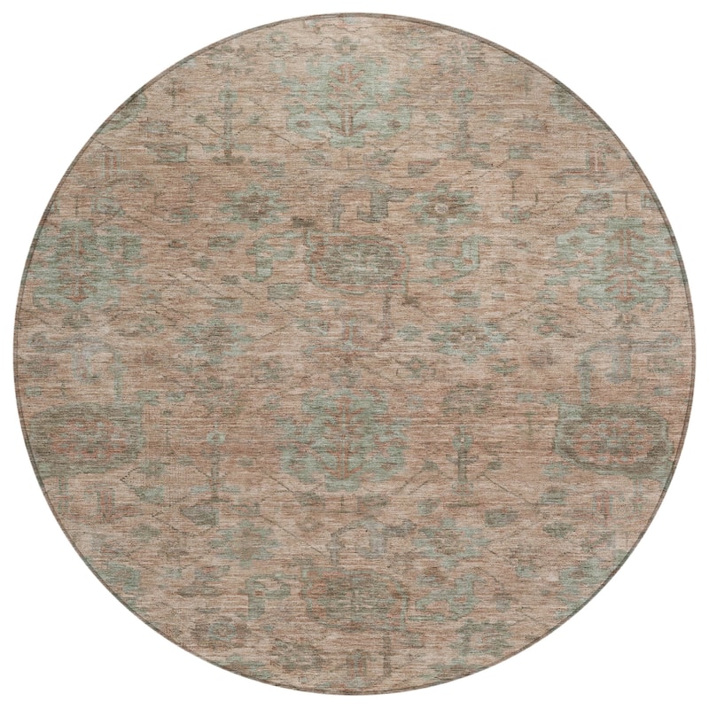 Machine Washable Indoor/ Outdoor Vintage Traditional Chantille Rug