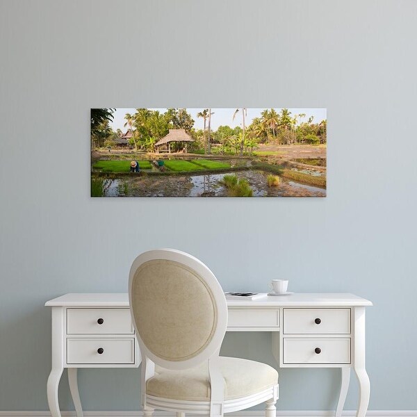 Easy Art Prints Panoramic Images's 'Farmer working in a rice field, Chiang Mai, Thailand' Premium Canvas Art