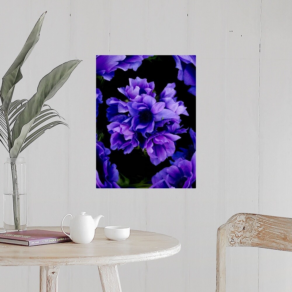 Purple flowers on black background\, image size:1000x1000