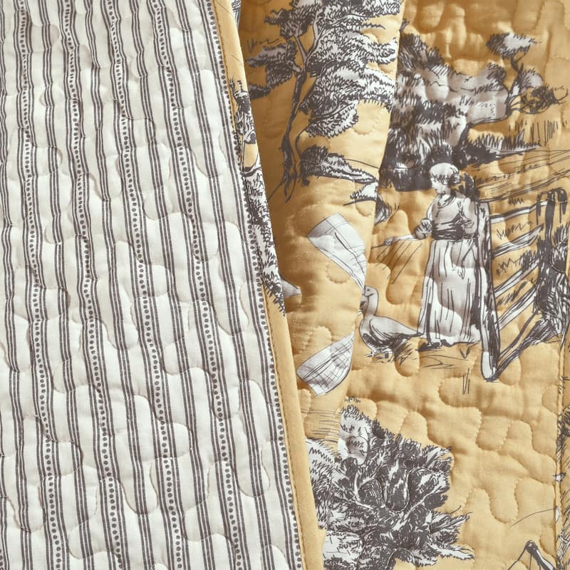 Lush Decor French Country Toile Cotton Reversible Throw Blanket