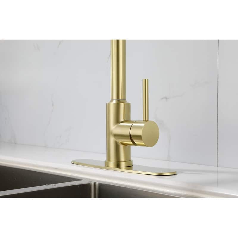 Kitchen Faucet with Pull Down Sprayer