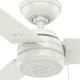 Hunter 52" Cassius Outdoor Ceiling Fan with Pull Chain, Damp Rated