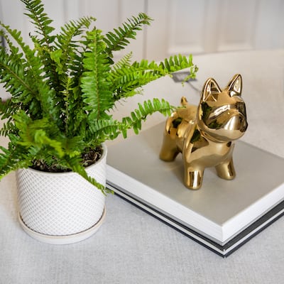 Sagebrook Home Frenchie Ceramic Dog Statue Sculpture