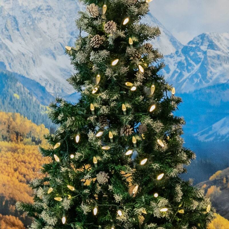 70 Light C6 True Twinkle LED Christmas Mini Light Set, Warm White, Green Wire, 24 Feet