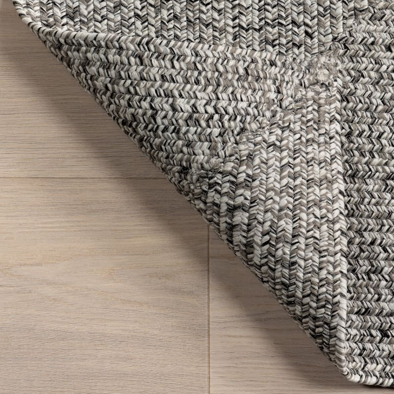 Nuloom Wynn Braided Indoor/Outdoor Area Rug