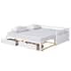 Option White