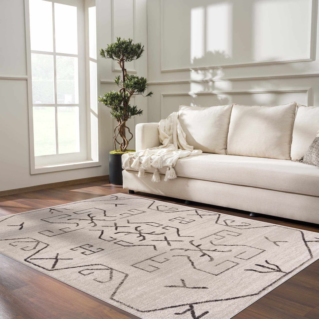 Pertek Bohemian Farmhouse Traditional Area Rug