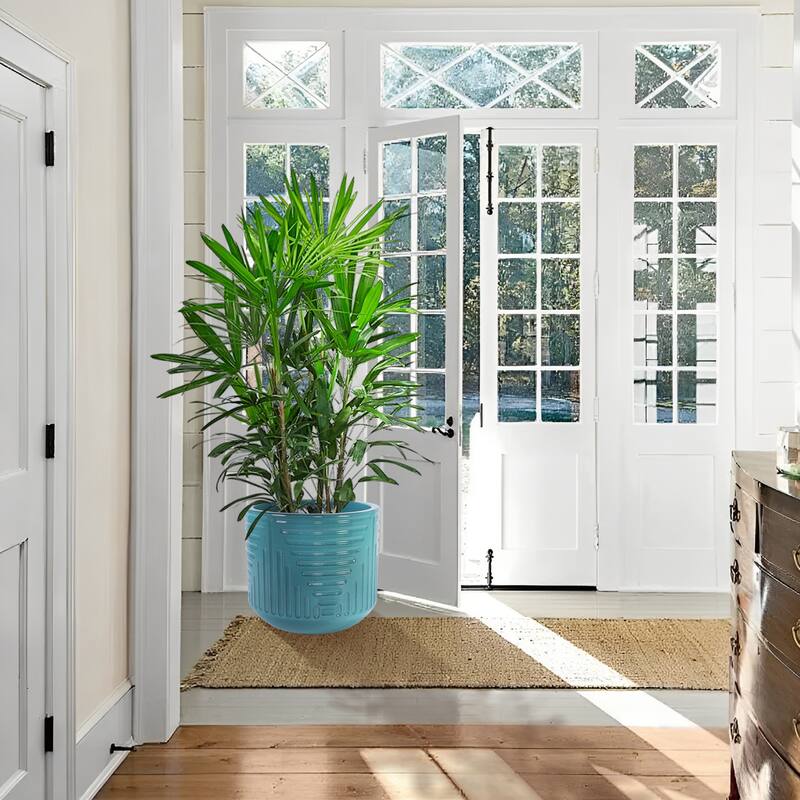 Handmade Ceramic Planter, Monstera & Fiddle Leaf Fig, 16" Diameter