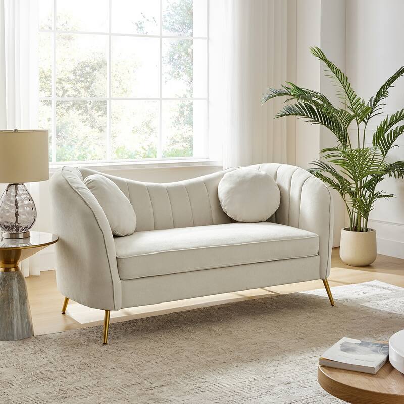 Cecilia 64.6" Wide Loveseat with Removable Cushions