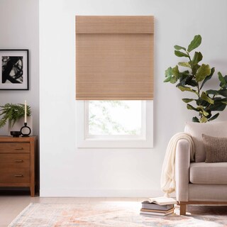 Eclipse Bamboo Cordless Light Filtering Privacy Roman Shade