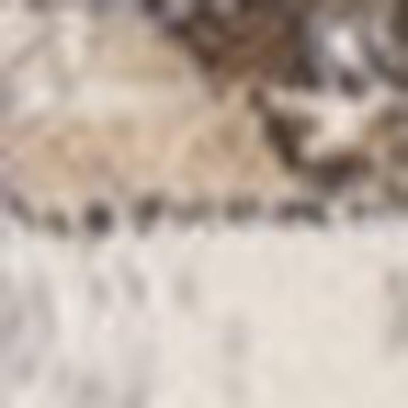 HomeRoots Medallion Modern Rectangle Area Rug - 5' X 8'