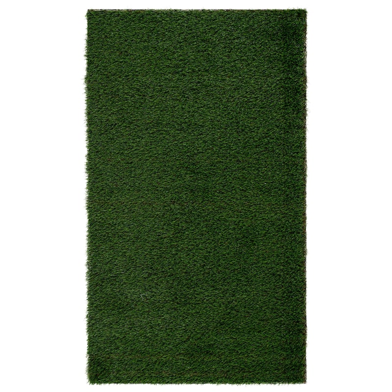 SAFAVIEH Vista Enkelejda Washable Indoor/Outdoor Rug - Weather Resistant & Easy Cleaning - 3' x 5' - Natural/Green