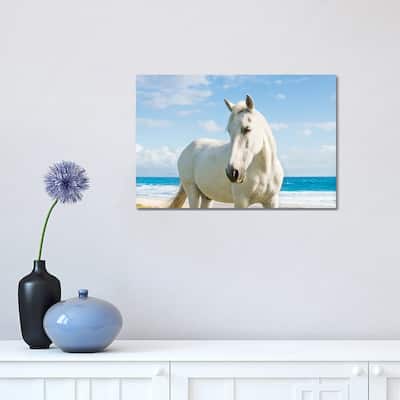 iCanvas "Beach Horse" by Andrew Lever Canvas Print