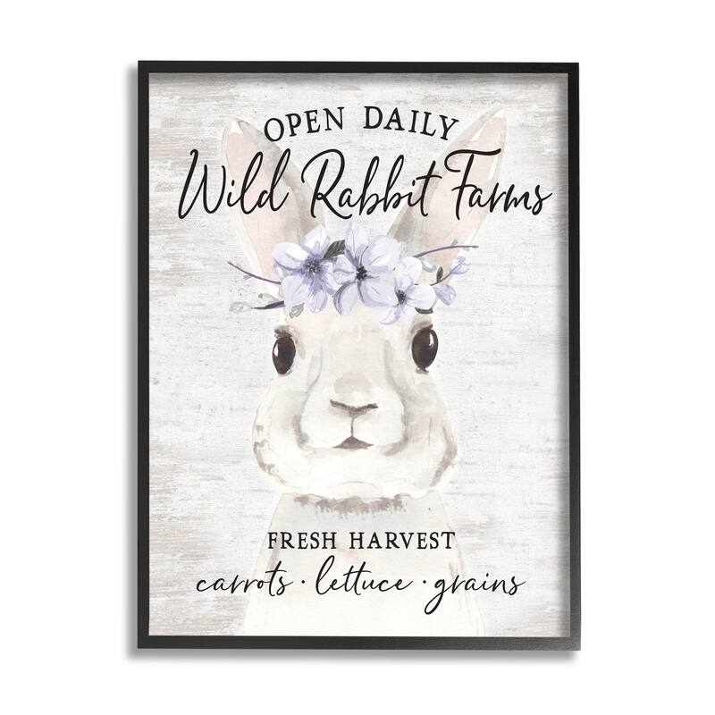 Stupell Wild Rabbit Farms Weathered Floral Crown Sign Framed Wall Art - White - 24 x 30 - Black