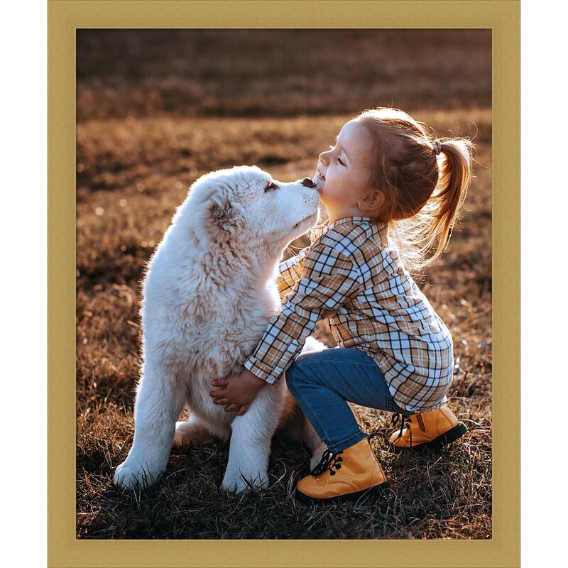 Grace Brushed Gold Narrow Framed Picture Frame, Photo Frame - 18x22 - Grace Brushed Gold Narrow