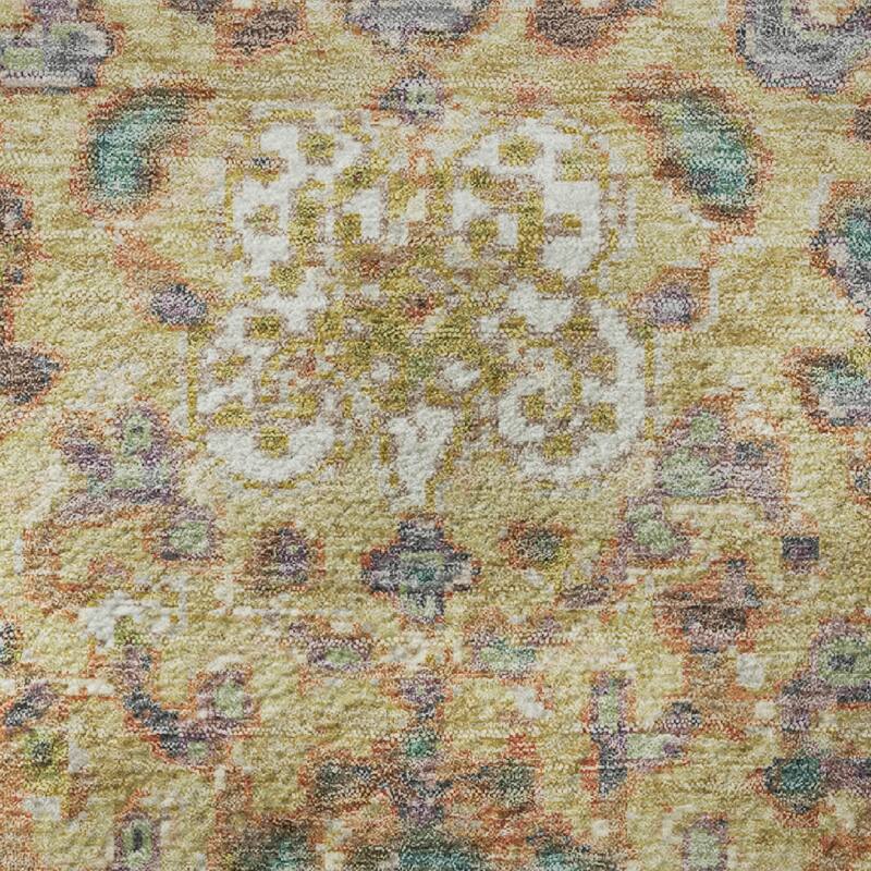 Premium Washable Super Soft Traditional Global Mayfield Rug