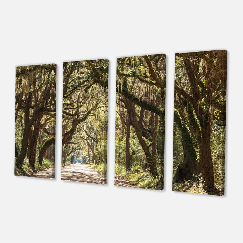 Designart "Trees Tunnel in Botany Bay" Landscape Print Wall Art - 48 in. wide x 28 in. high - 4 Panels